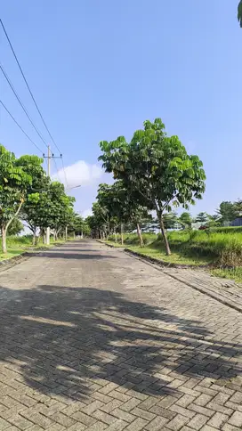 Tanah Potensi Kos Lokasi Tepat Samping Kampus UIN 3 Dau Malang