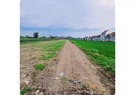 Jalan Godean Dekat Ringruad, Tanah View Sawah Nyaman Huni