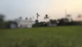 CESSIE KHUSUS INVESTOR Tanah Komersil Cocok Untuk Perumahan, Tangerang
