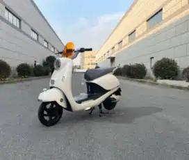 Sepeda listrik T65L