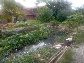 Tanah Murah Di Bawah Harga Pasar Strategis Area Taman Royal 2 Cipondoh