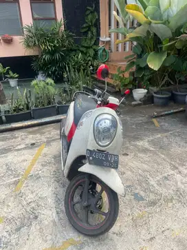 honda scoopy 2013