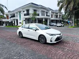 Altis tpe V [KM 24rb]