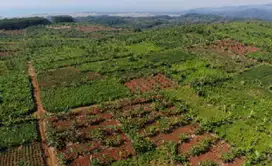 Dijual Tanah Industri SHGB Di Batang Jawa Tengah