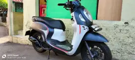 Scoopy konci th 2024 bln 11 km 2000