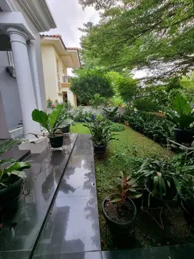 Dijual Rumah Siap Huni Asri di Puspita Loka BSD, Tangerang Selatan