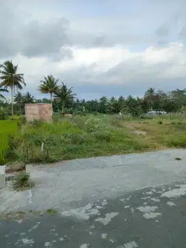 Dijual Cepat Tanah di Sleman