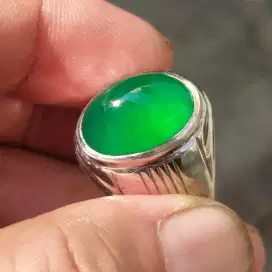Bacan gulau HQ hijau botol