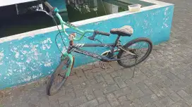 Sepeda Anak BMX