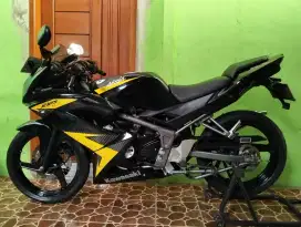 Ninja Rr New 2014