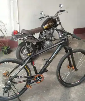 Mtb carbon scott scale