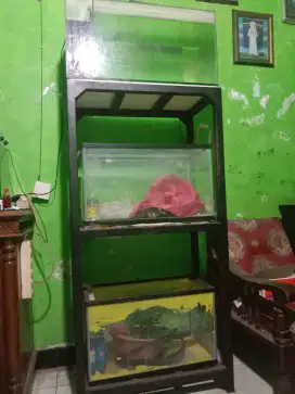 Aquarium kaca 3 + Rak besi 3 susun