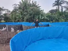 Jual Bibit ikan lele untuk konsumsi