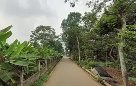 Dijual Tanah Cisauk Luas 90-an, Dekat Stasiun Jatake Baru