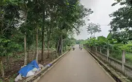 Kavling Tepi Jalan Cisauk, 14 Menit Tol Legok