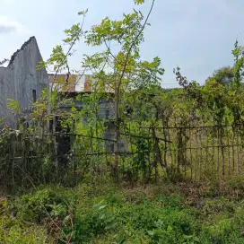 DIJUAL TANAH SIAP BANGUN (MURAAAH HANYA 75 JUTA/ 300M²)