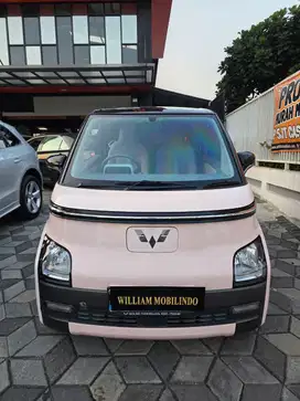 Wuling Air Ev Std Range 200 km A/T 2022