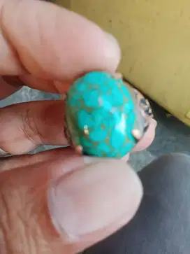 Pirus Xinjiang natural