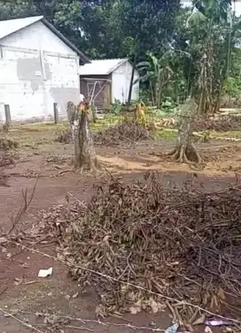 Dijual tanah di cileungsi 600 m2, 1.5 jt/meter