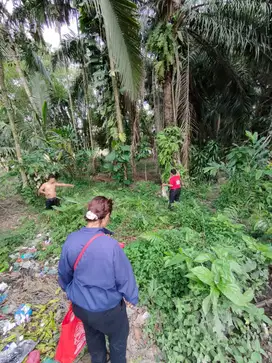 Tanah di jual Kisaran Naga Kisaran Timur kab Asahan