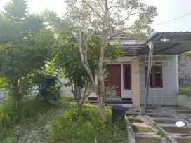 Disewakan Rumah Murah Area UMY