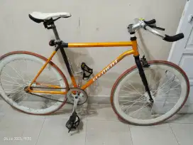 Jual Sepeda Fixie Element