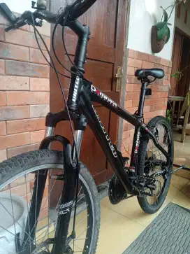 Sepeda MTB United Dominate XC