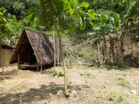Tanah Pekarangan Daerah Wisata Kalibiru