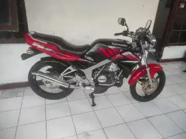 Ninja ss merah zebra asli