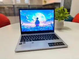 Acer Spin 3 Active (SP313-51N)