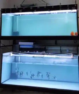 aquarium 1 ukuran panjang 120cm. 1 ukuran panjang 115cm.
