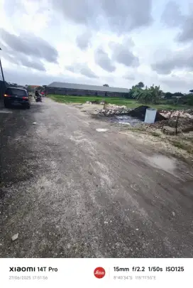 TANAH LANGKA 2 ARE PURA DEMAK JLN 10 METER