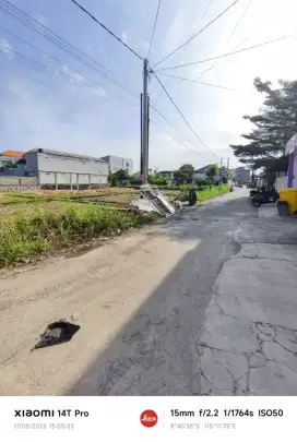 TANAH LANGKA 1 ARE PURA DEMAK JLN 5 METER PAVING