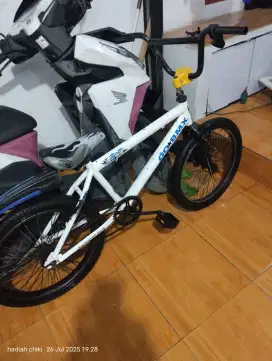 Go BMX size 20 inch
