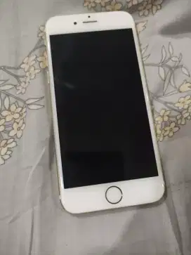 Iphone 6, pemakai pertama