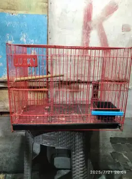 Kandang bekas sugar glider