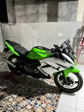 Ninja RR NEW 2014