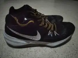 Nike Evidence II Size 43