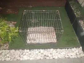 Jual kandang kucing