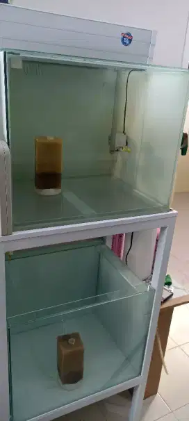 Aquarium akuarium breeding diskus discus fullset