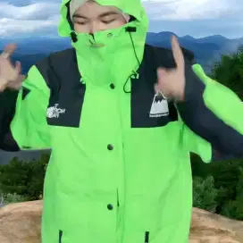 OutDoor The North face size L