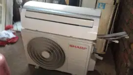 Ac sharp 1/2pk like new