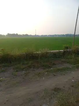 TANAH SAWAH KOTA STRATEGIS COCOK UNTUK USAHA