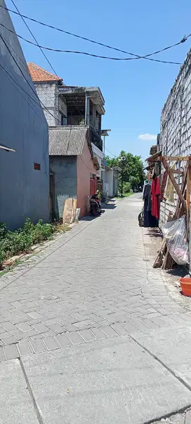 Kos oranye putra