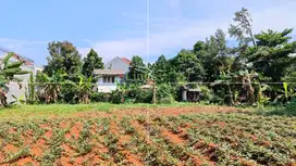 KAVLING  LOKASI AMAN DAN RAMAH LINGKUNGAN VILLA MELATI MAS