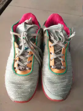 Nike lebron xx size 43