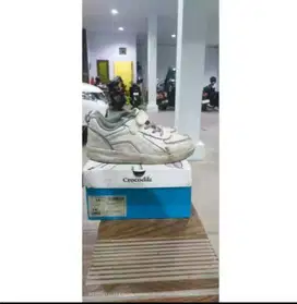 sepatu crocodile ori size 36