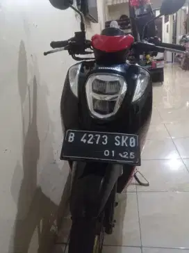 Honda Genio 2019