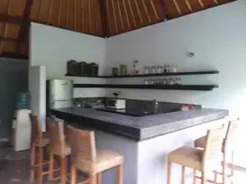 Villa tropical for rent Ungasan