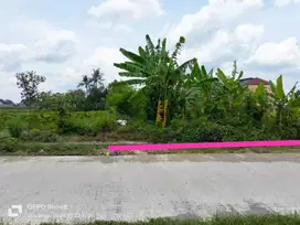 TANAH STRATEGIS DEKAT KAMPUS SANATA DAERMA,UPN & STADION MAGUWOHARJO